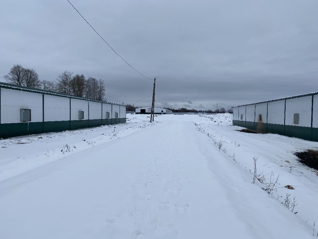 Шаховская, бизнес