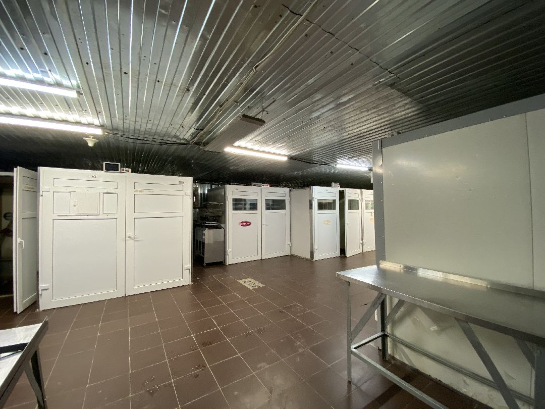 Шаховская, бизнес