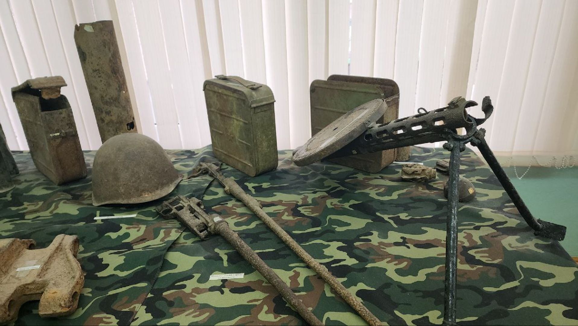 Дмитров, Синьково, Парта героя,