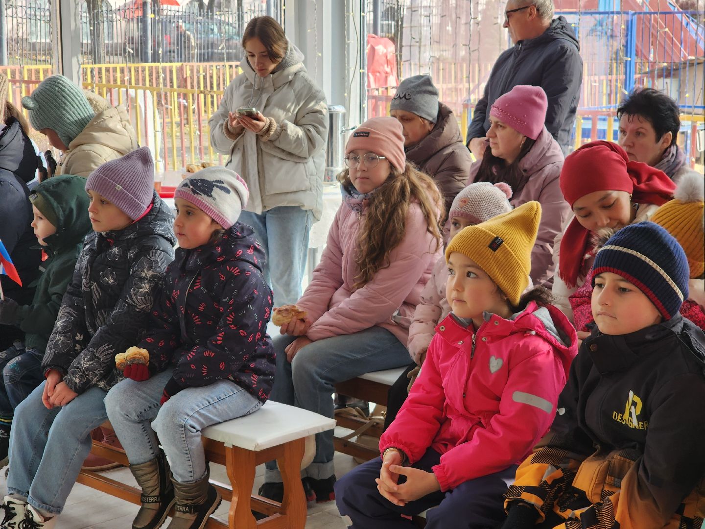 единство, день народного единства, пегас, Егорьевск, подмосковье, московская область,