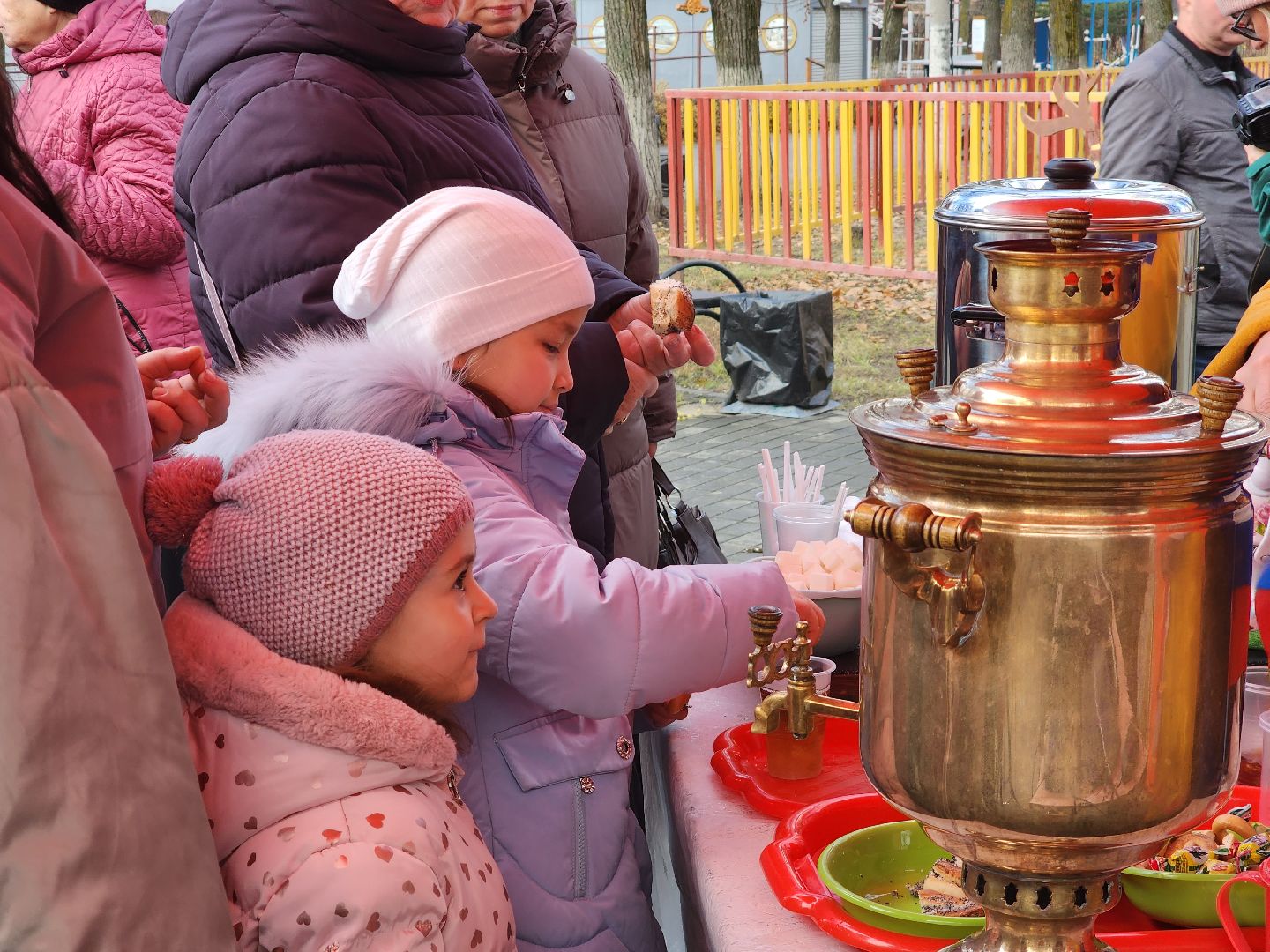 единство, день народного единства, пегас, Егорьевск, подмосковье, московская область,