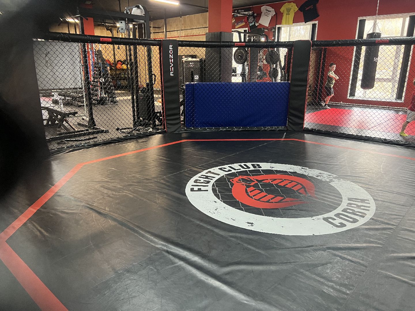 Солнечногорск, Праздник, день народного единства, спорт, тренировка,