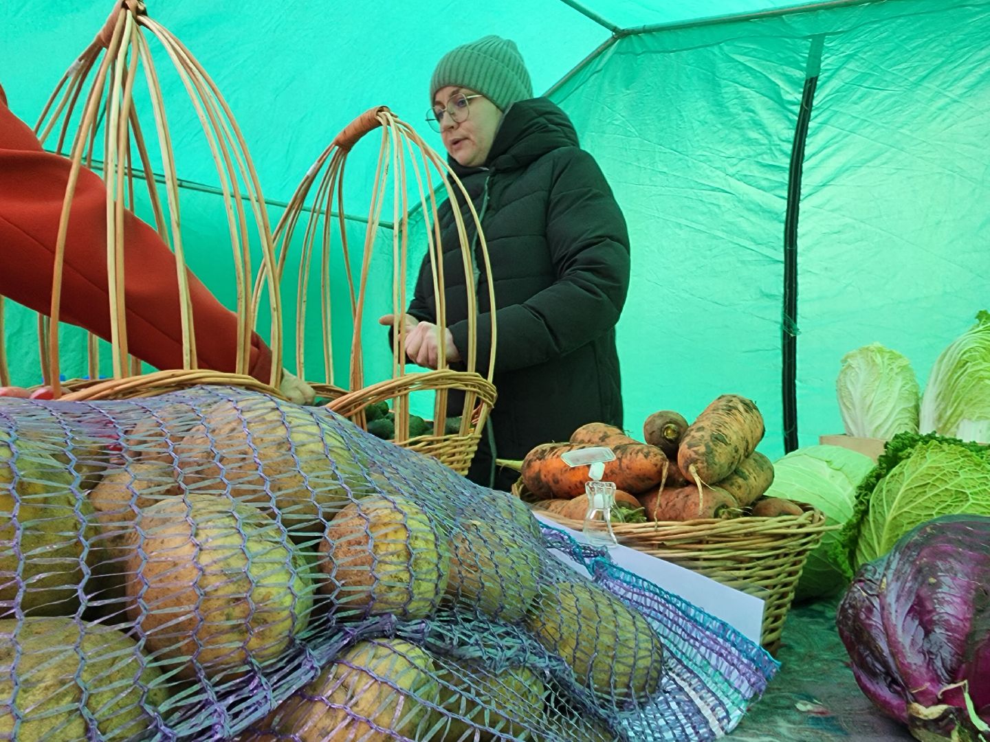 воскресенск, день народного единства, аграрии, фермеры, ярмарка, парк кривякино,