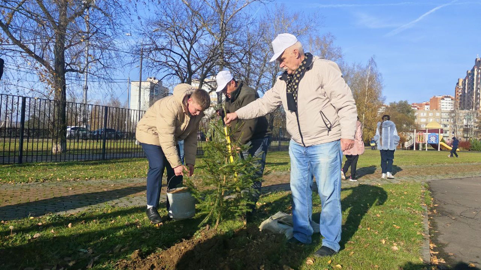 День народного единства, высадка елей, Домодедово,