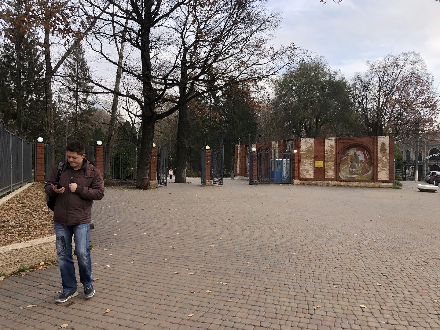 Химки, Подмосковье, день народного единства,