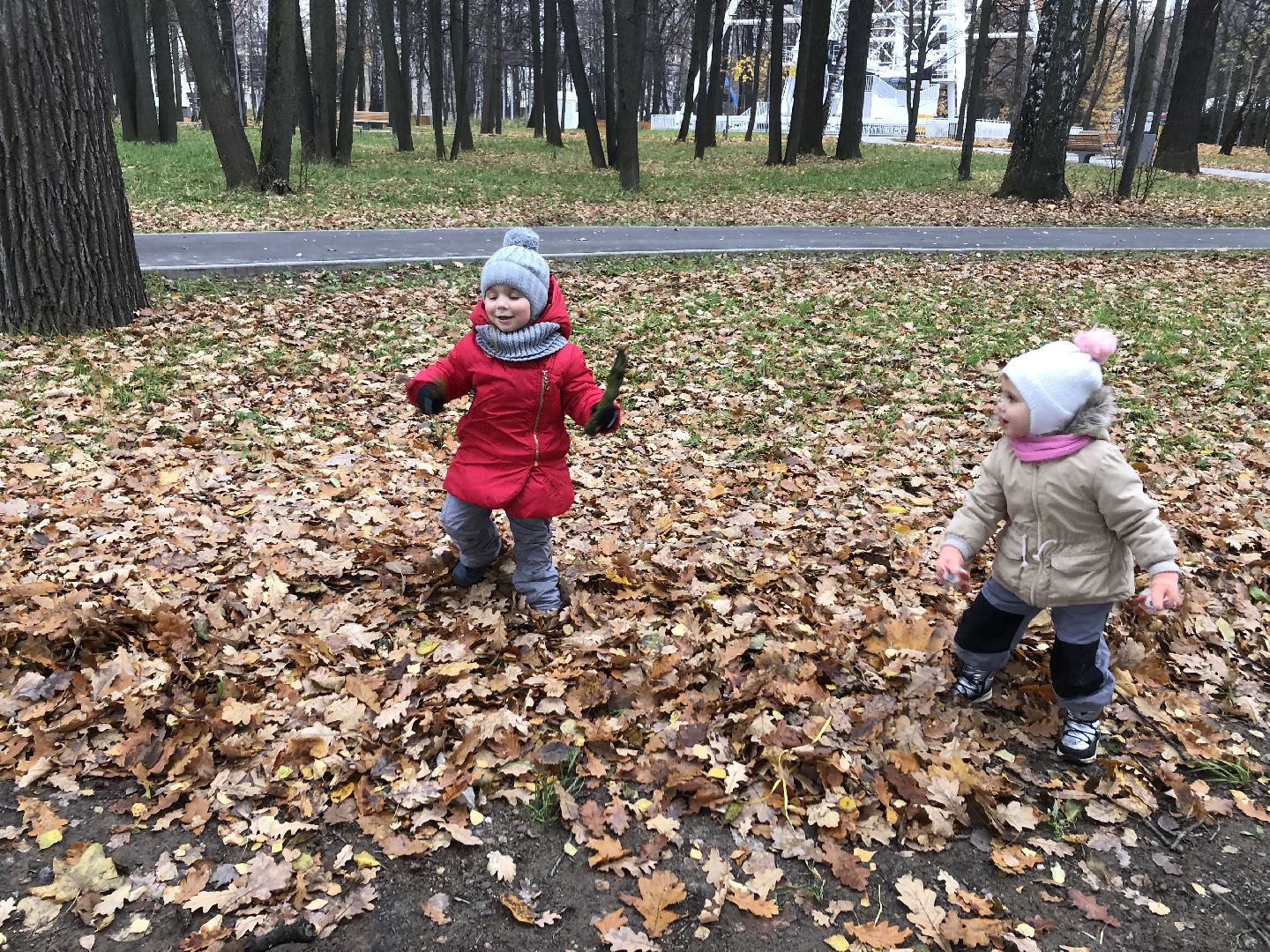 Химки, Подмосковье, день народного единства,