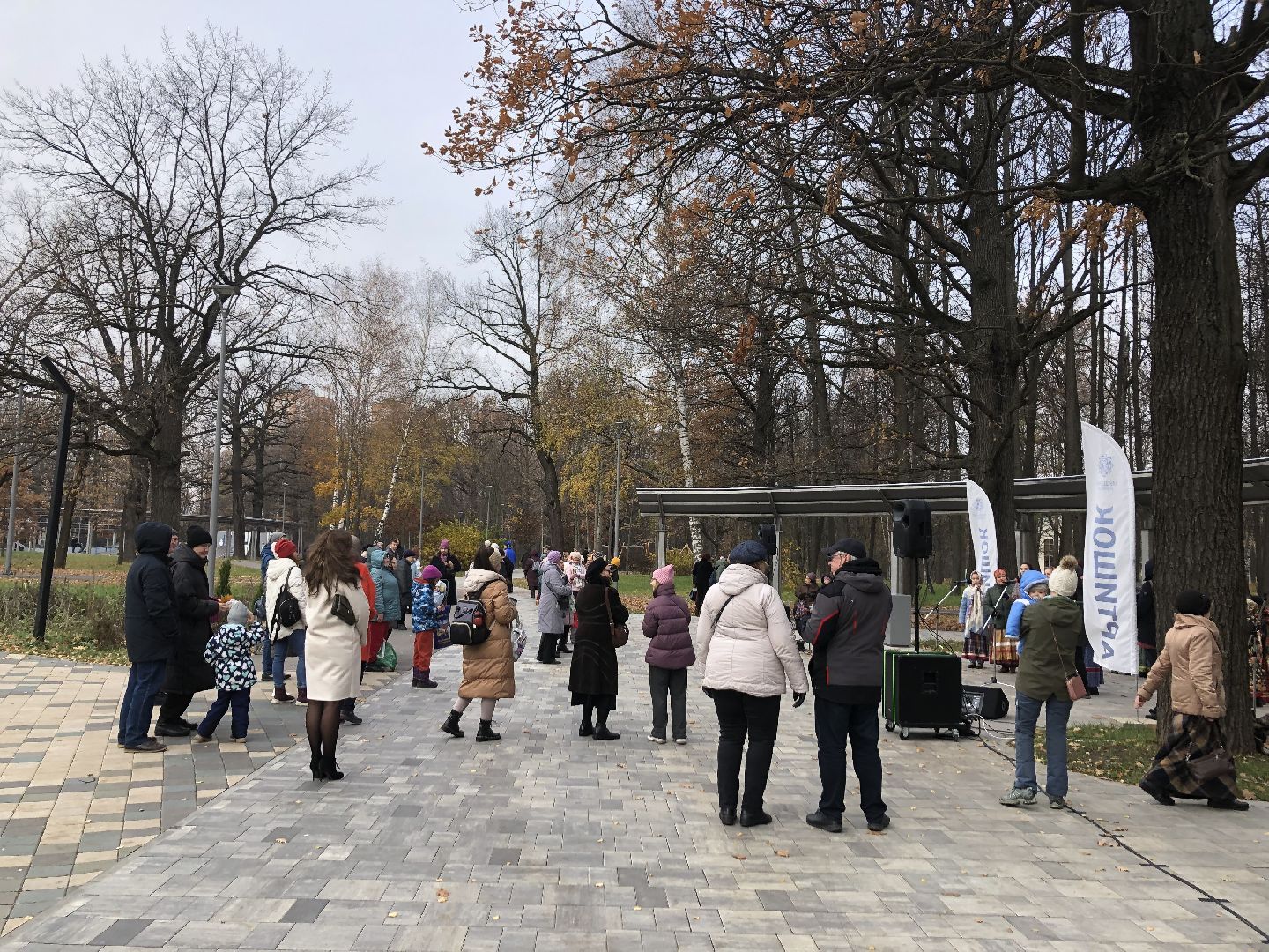 Химки, Подмосковье, день народного единства,