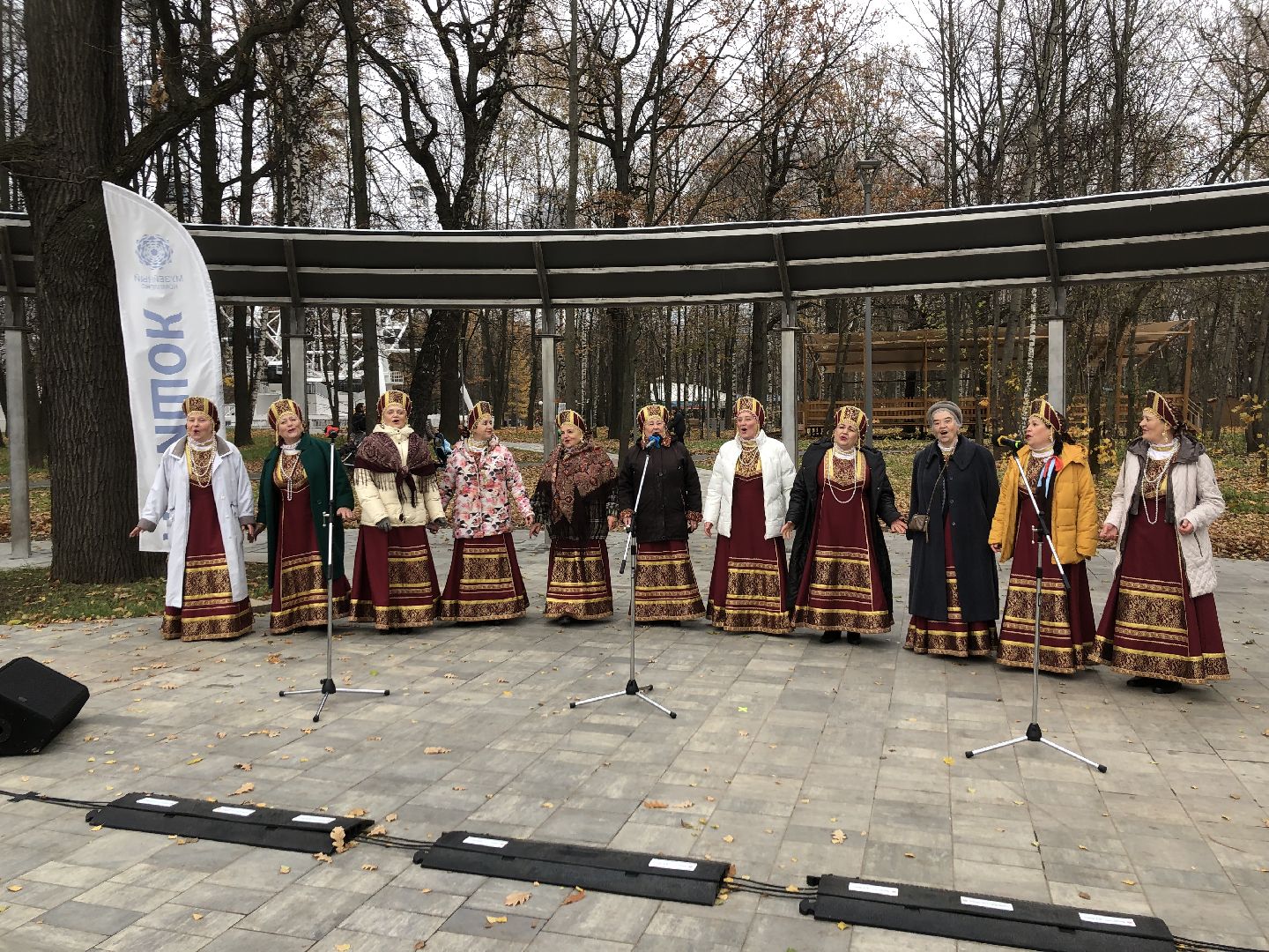 Химки, Подмосковье, день народного единства,