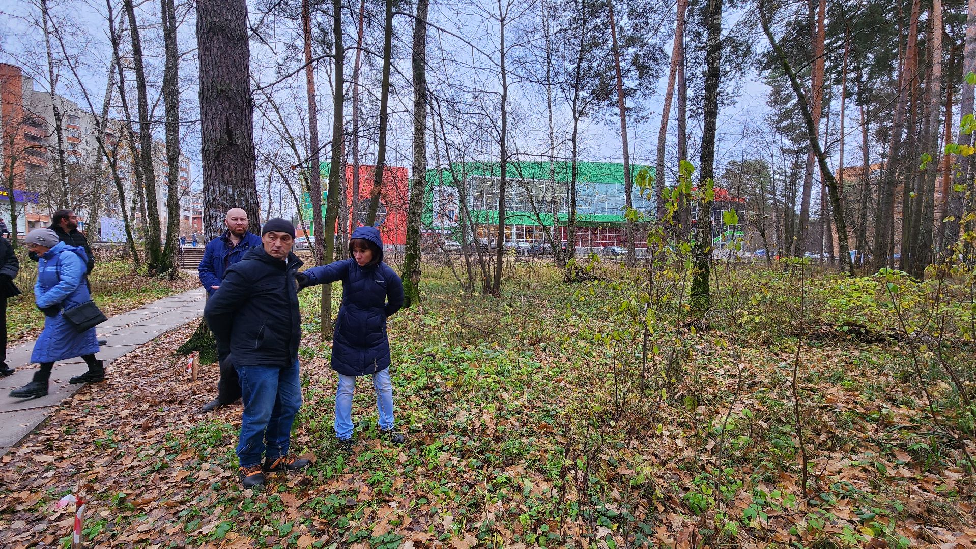 протвино, благоустройство, комфортная городская среда, парк, общественные пространства,