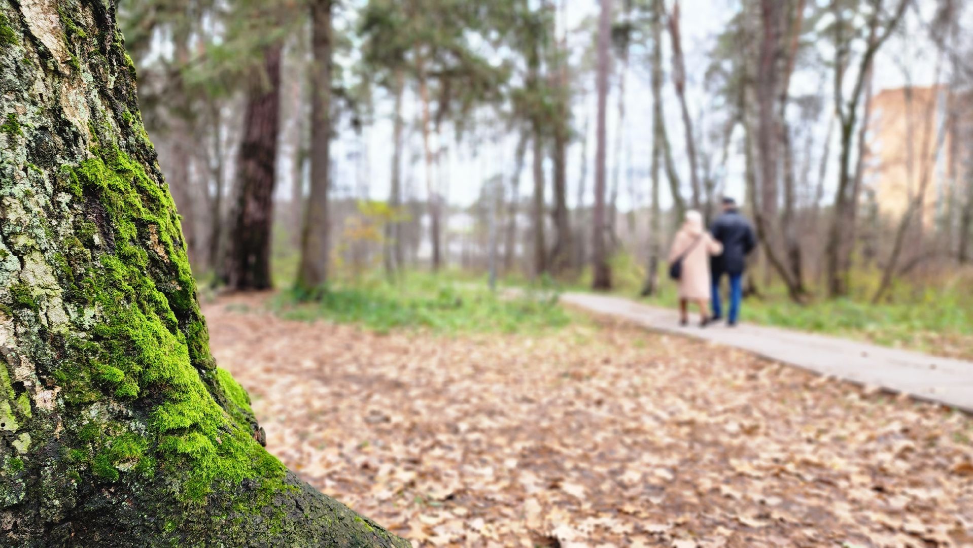 протвино, благоустройство, комфортная городская среда, парк, общественные пространства,