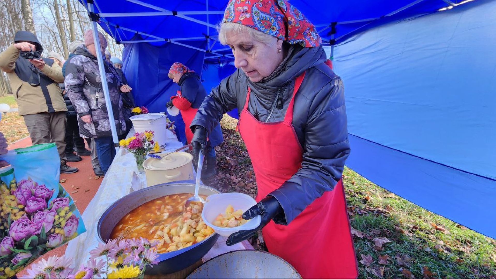 праздник, день народного единства, многонациональная страна, подмосковье, Лосино-Петровский,