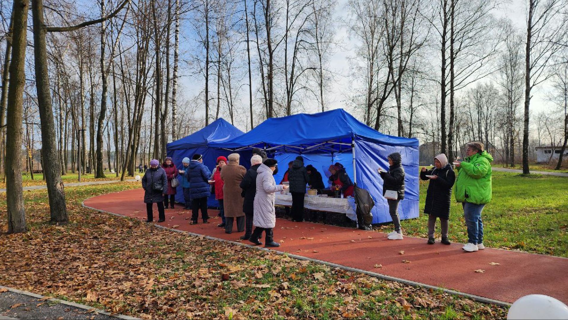 праздник, день народного единства, многонациональная страна, подмосковье, Лосино-Петровский,