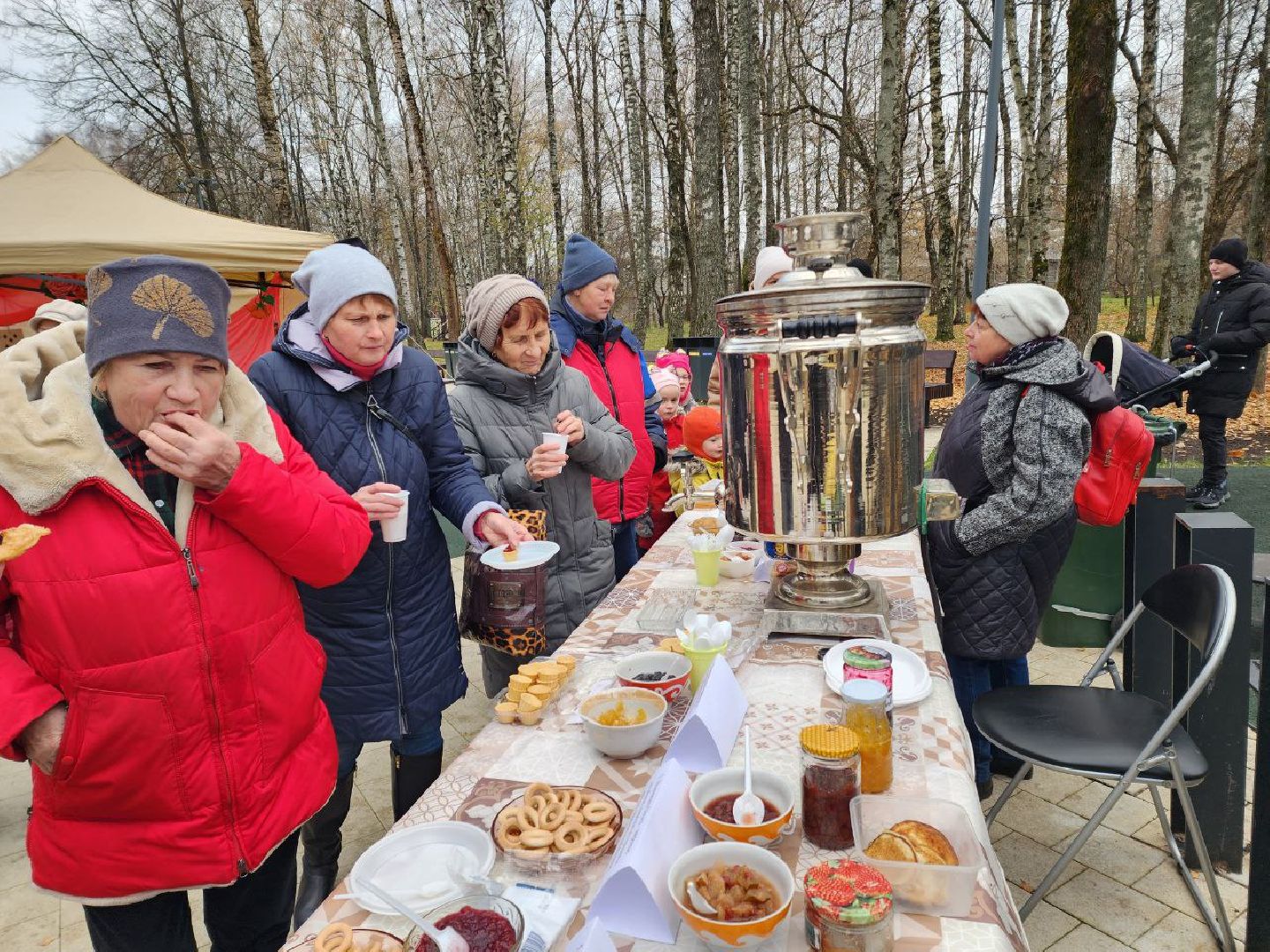 Солнечногорск, Праздник, день народного единства, парк, Жители,