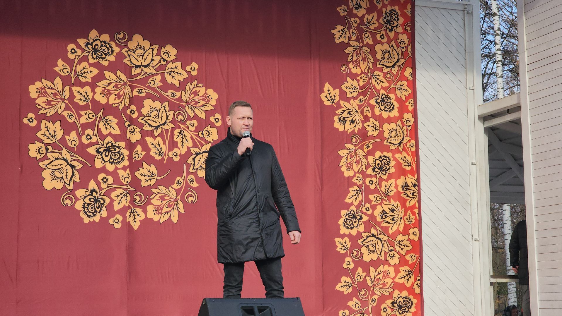 Пушкино, день народного единства, Дети, Общество, Городской округ Пушкинский,