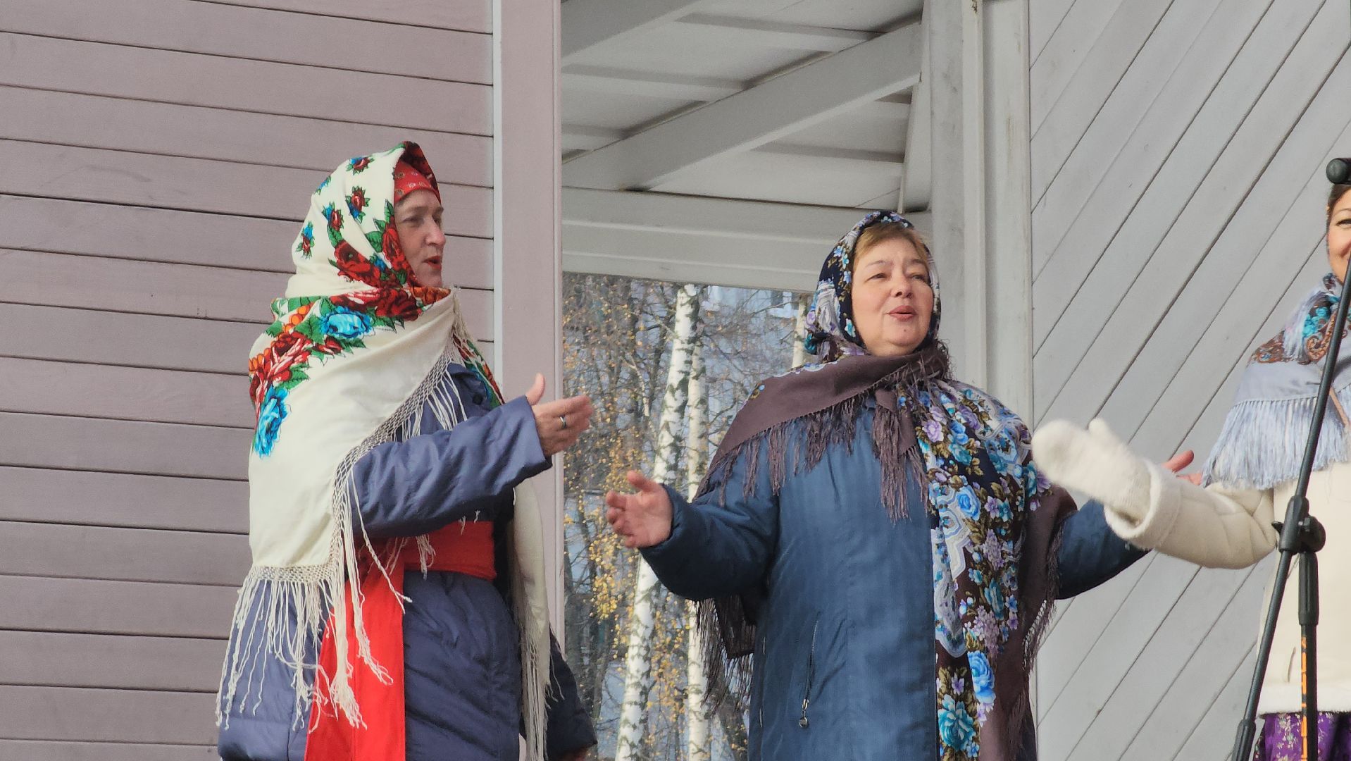 Пушкино, день народного единства, Дети, Общество, Городской округ Пушкинский,