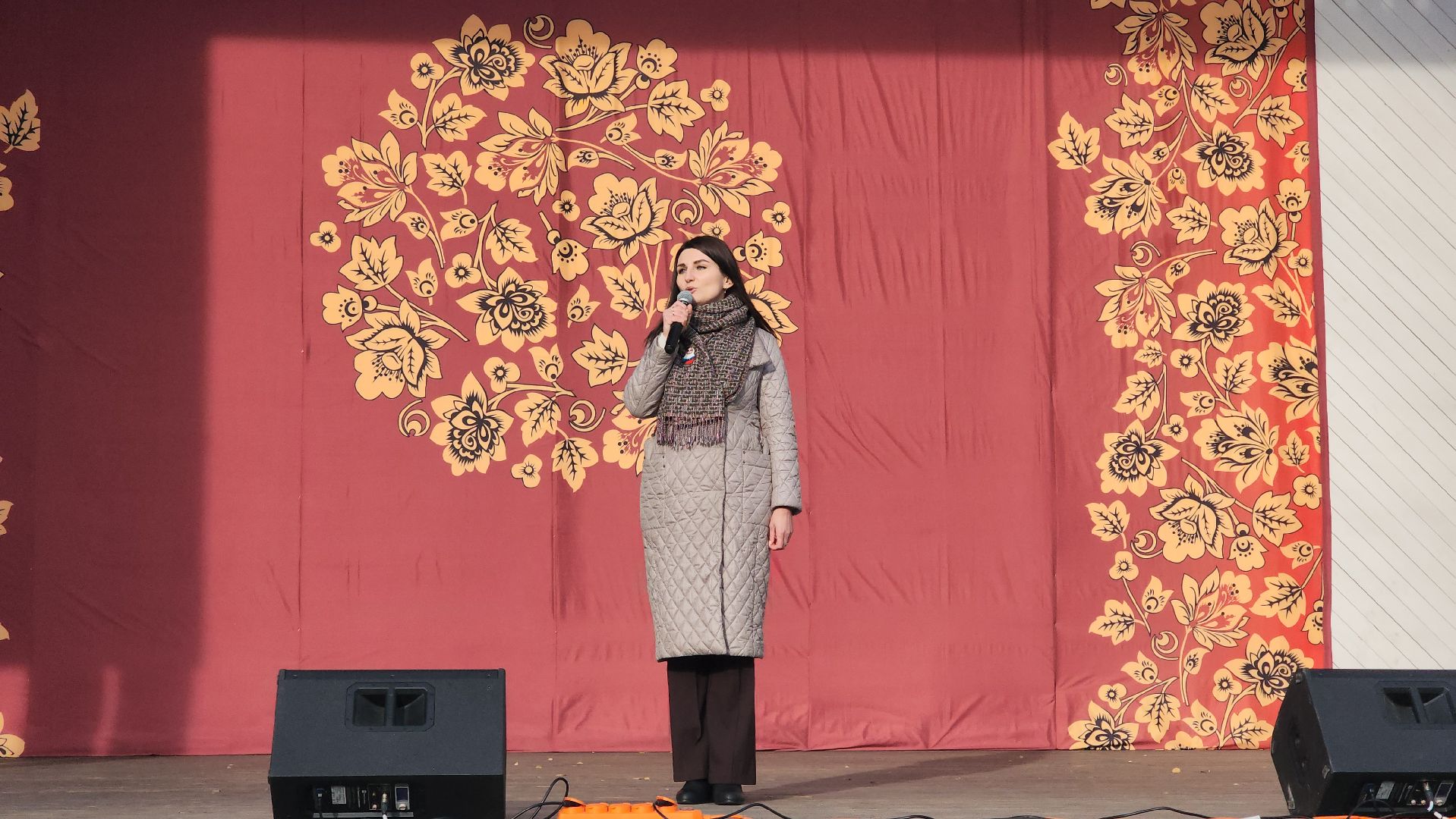 Пушкино, день народного единства, Дети, Общество, Городской округ Пушкинский,