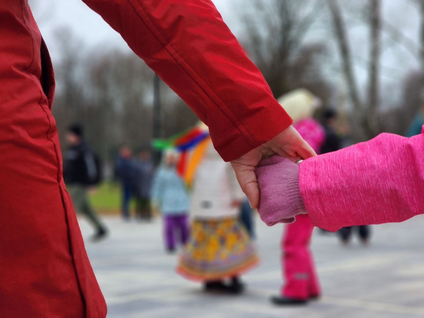 ступино, леля ступино, день народного единства,