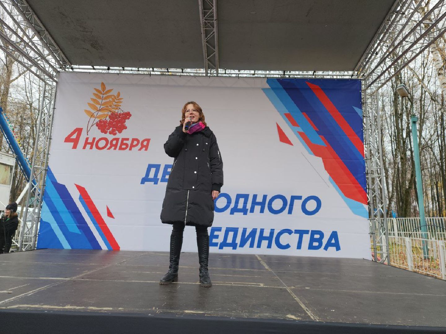 день народного единства, подмосковье, праздник единства, видное, ленинский округ,