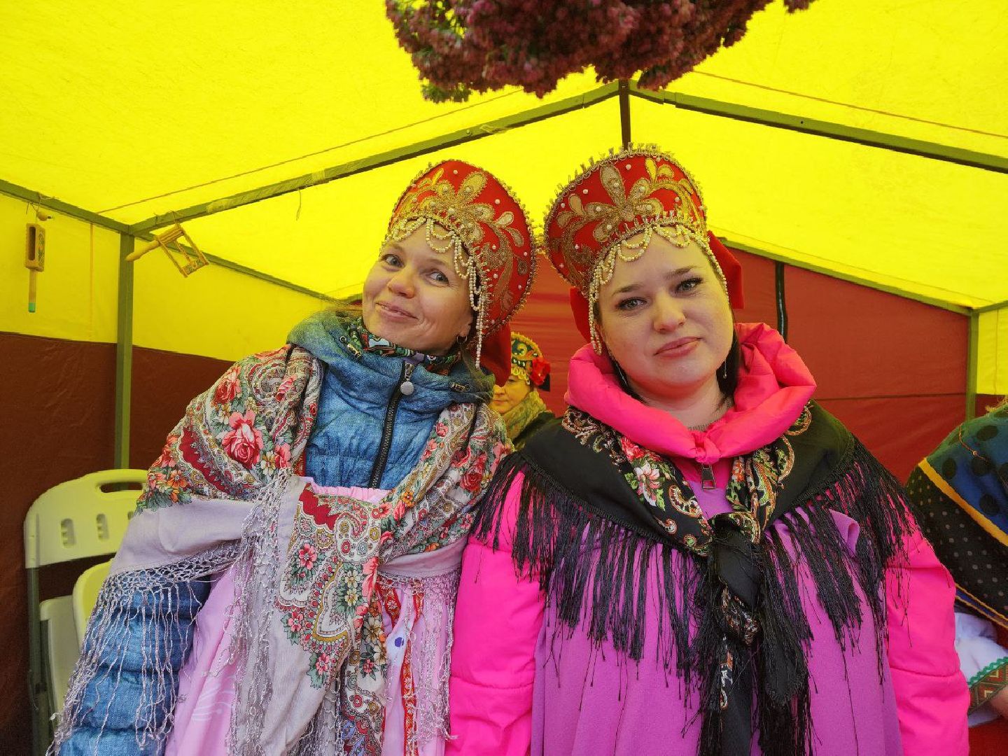день народного единства, подмосковье, праздник единства, видное, ленинский округ,