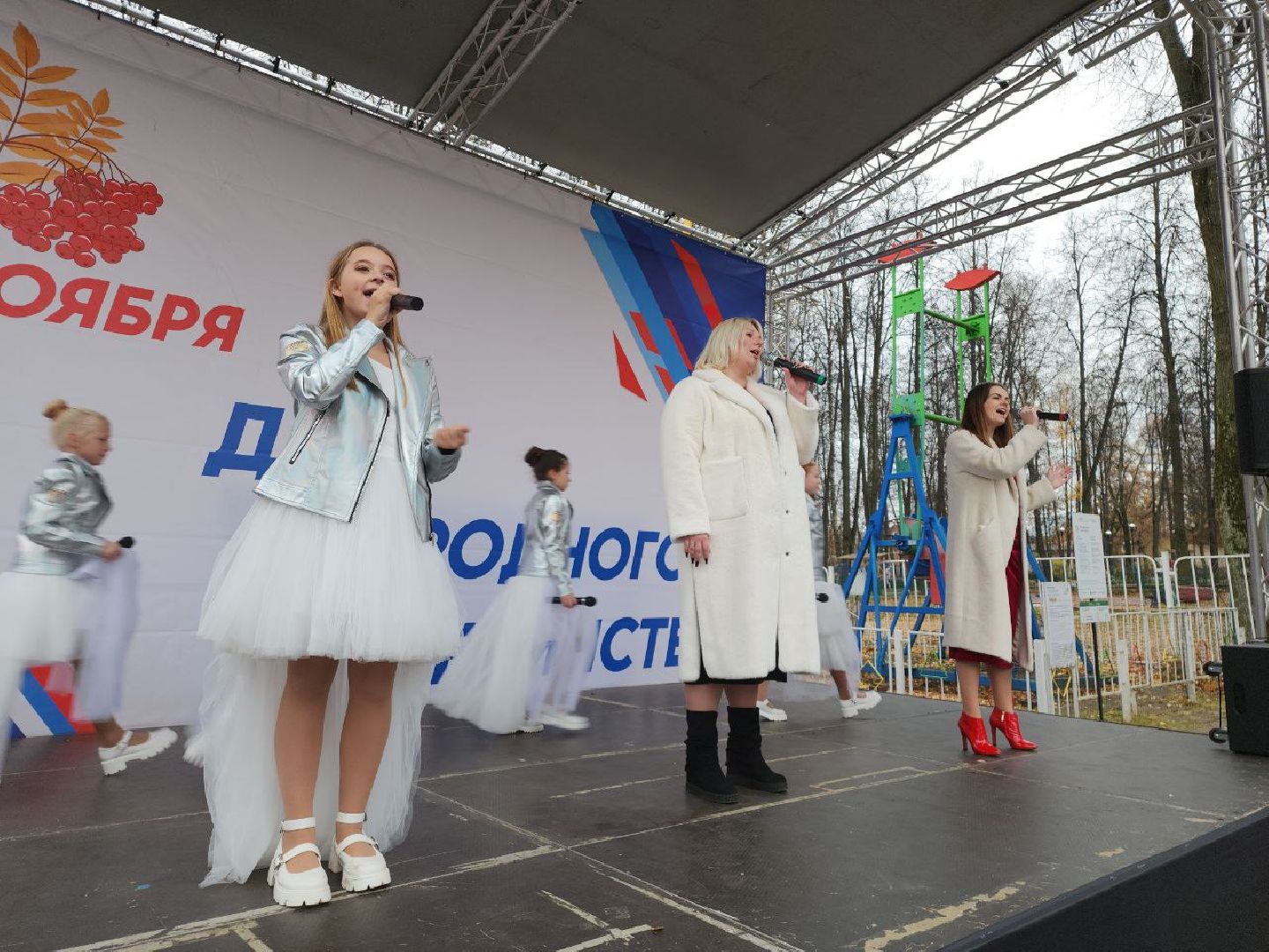 день народного единства, подмосковье, праздник единства, видное, ленинский округ,