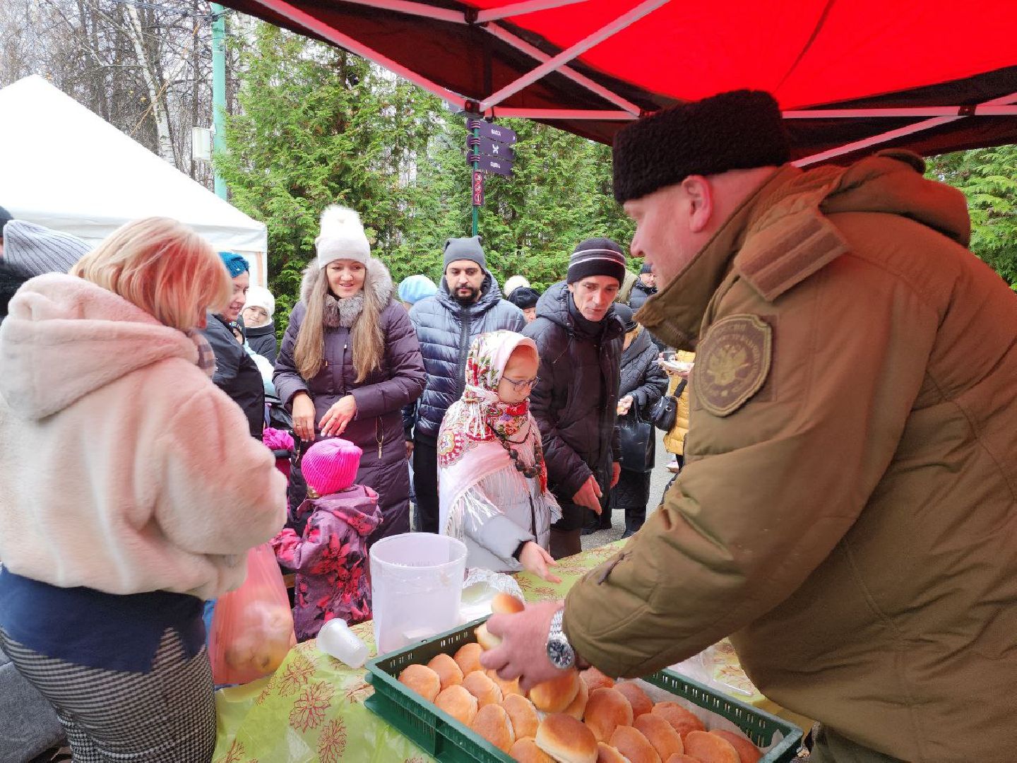 день народного единства, подмосковье, праздник единства, видное, ленинский округ,