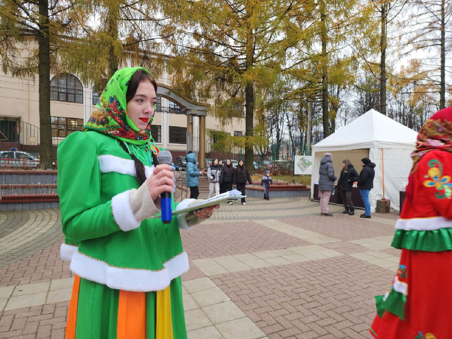 день народного единства, подмосковье, праздник единства, видное, ленинский округ,