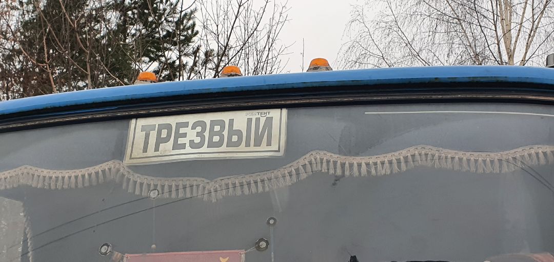 Домодедово Общество