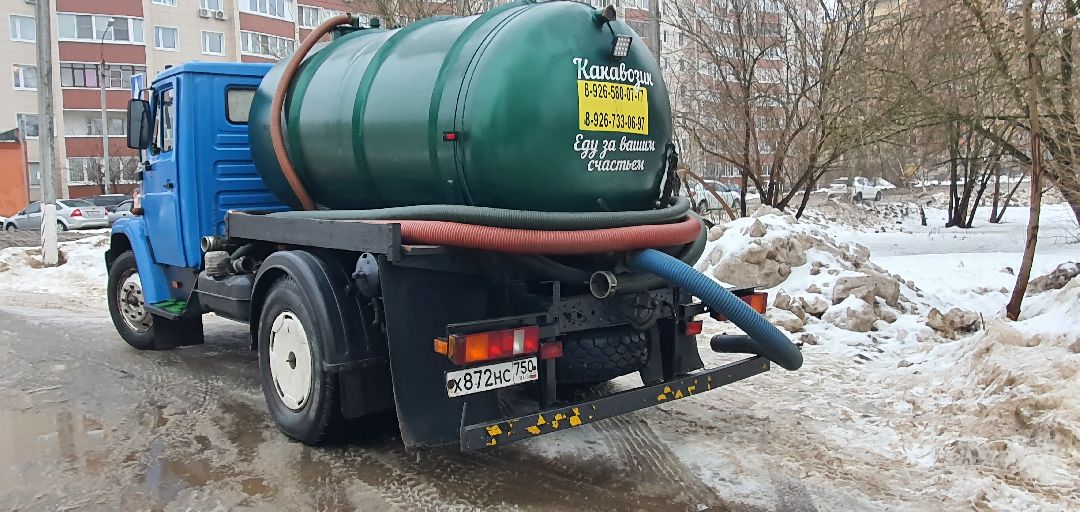 Домодедово Общество