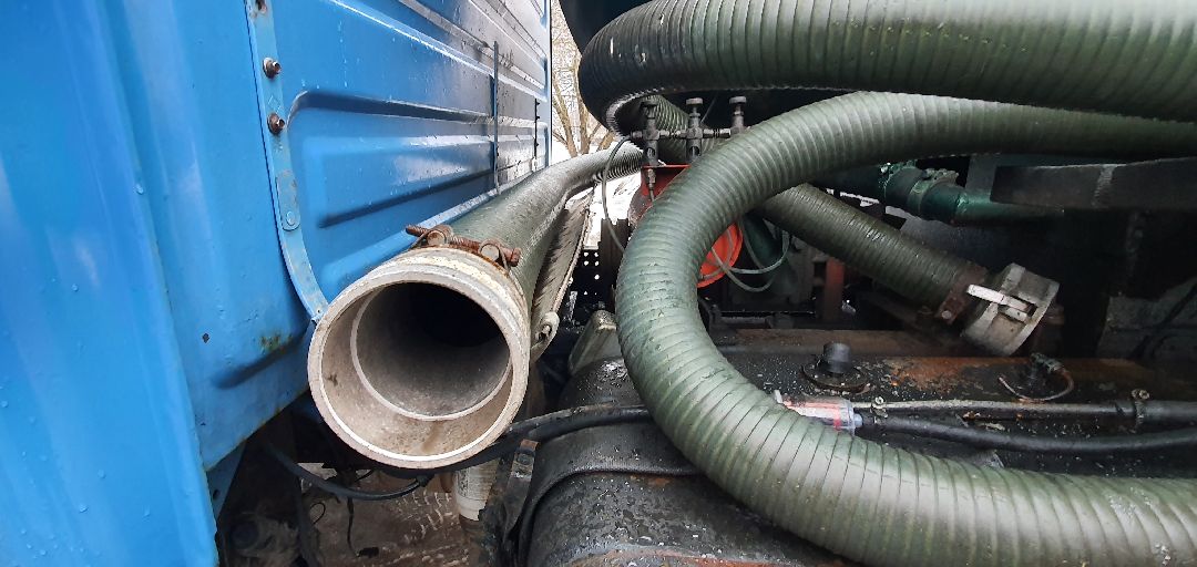 Домодедово Общество