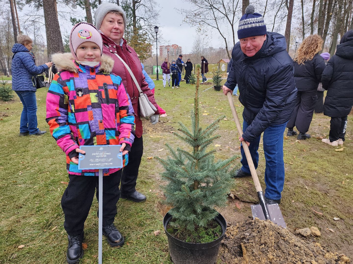 раменское, экология, экологическая акция, аллея из сосен в парке,