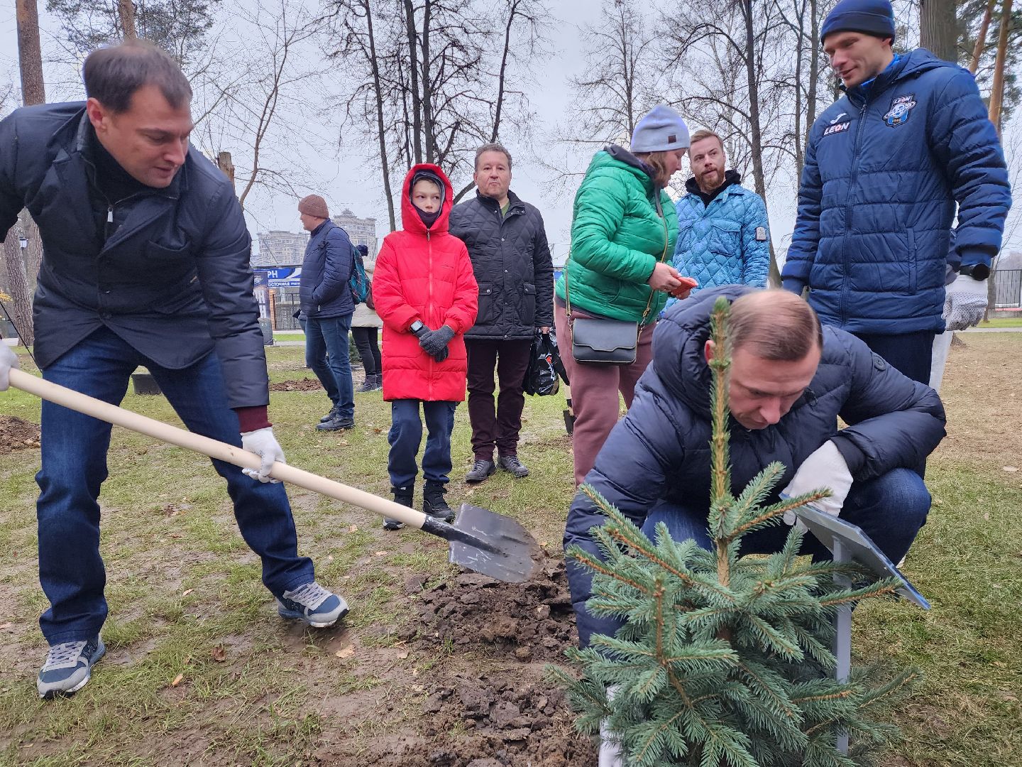 раменское, экология, экологическая акция, аллея из сосен в парке,