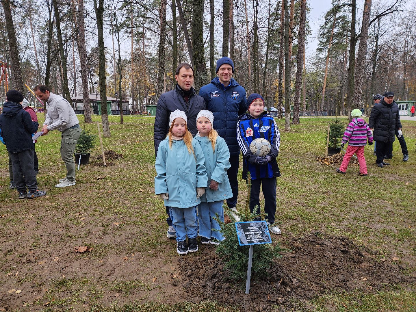раменское, экология, экологическая акция, аллея из сосен в парке,