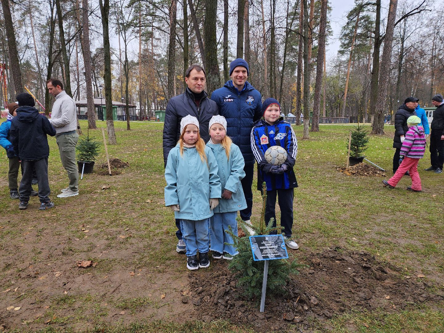 раменское, экология, экологическая акция, аллея из сосен в парке,