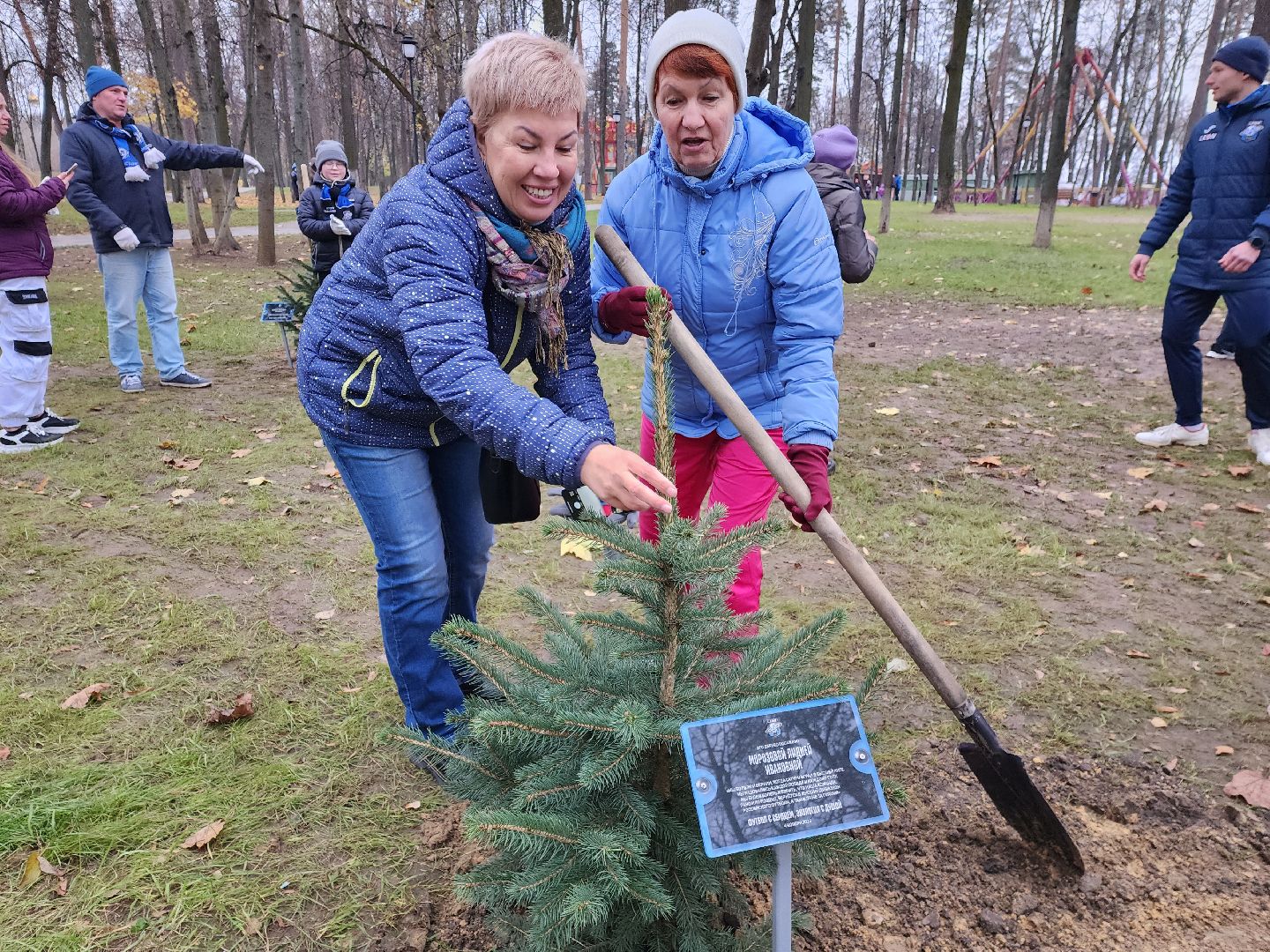 раменское, экология, экологическая акция, аллея из сосен в парке,