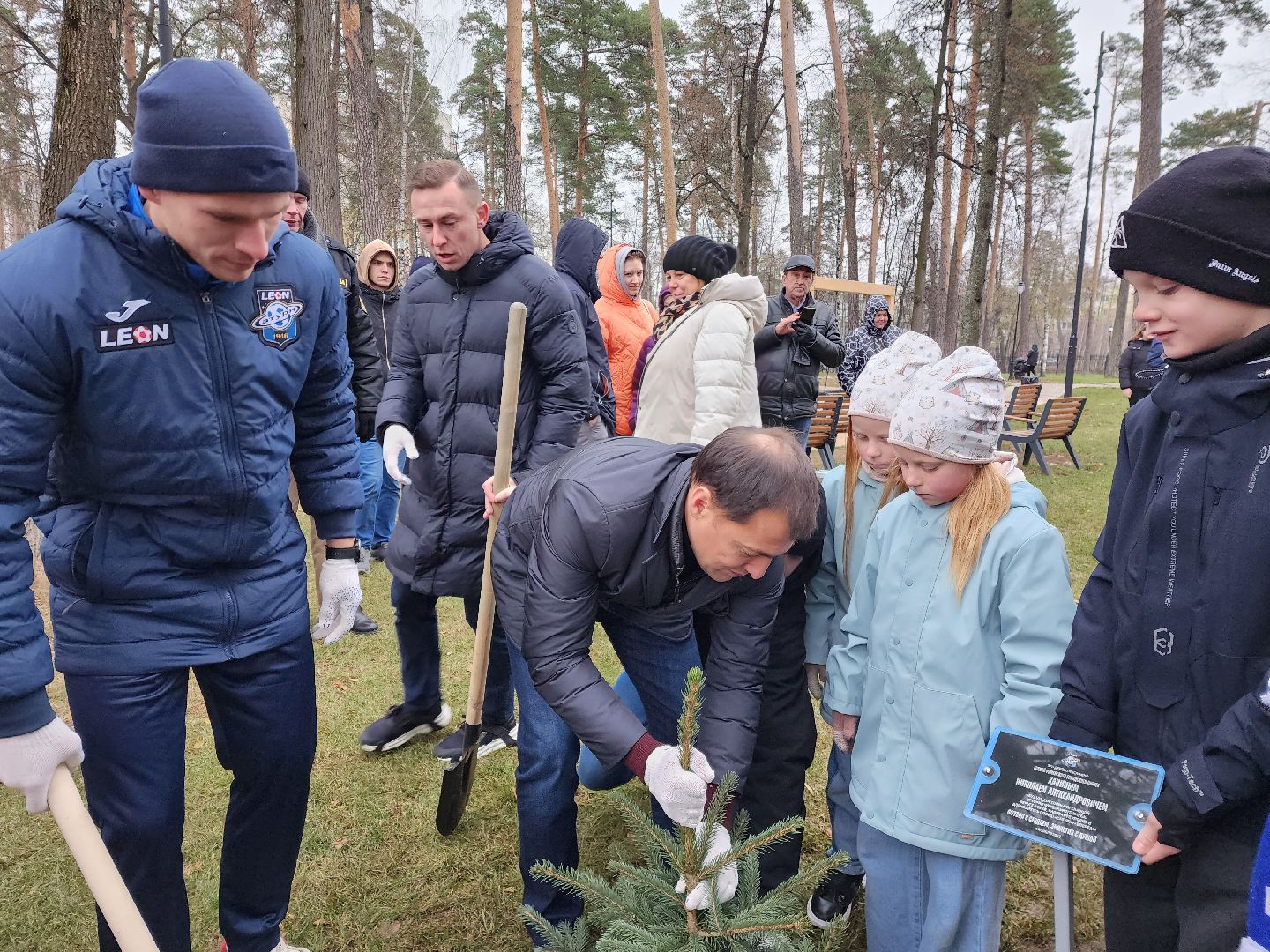 раменское, экология, экологическая акция, аллея из сосен в парке,