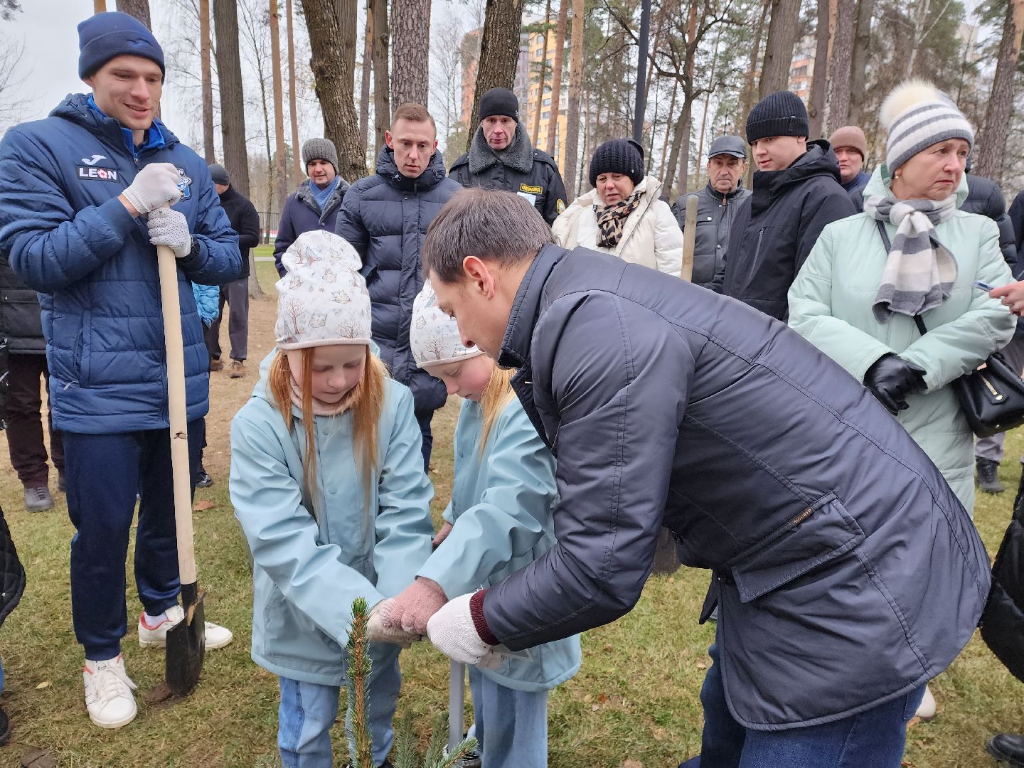 раменское, экология, экологическая акция, аллея из сосен в парке,