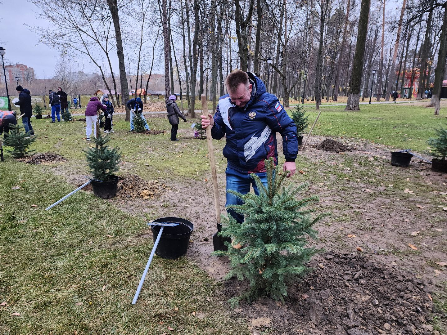 раменское, экология, экологическая акция, аллея из сосен в парке,
