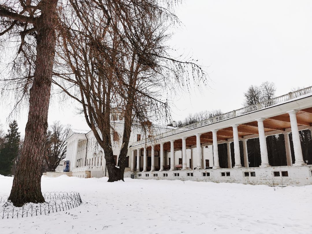 Подольск Общество