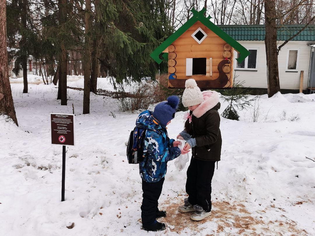 Подольск Общество