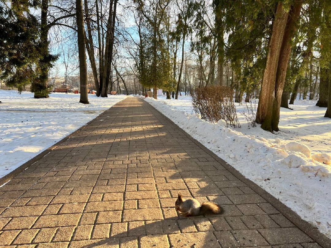 Подольск Общество
