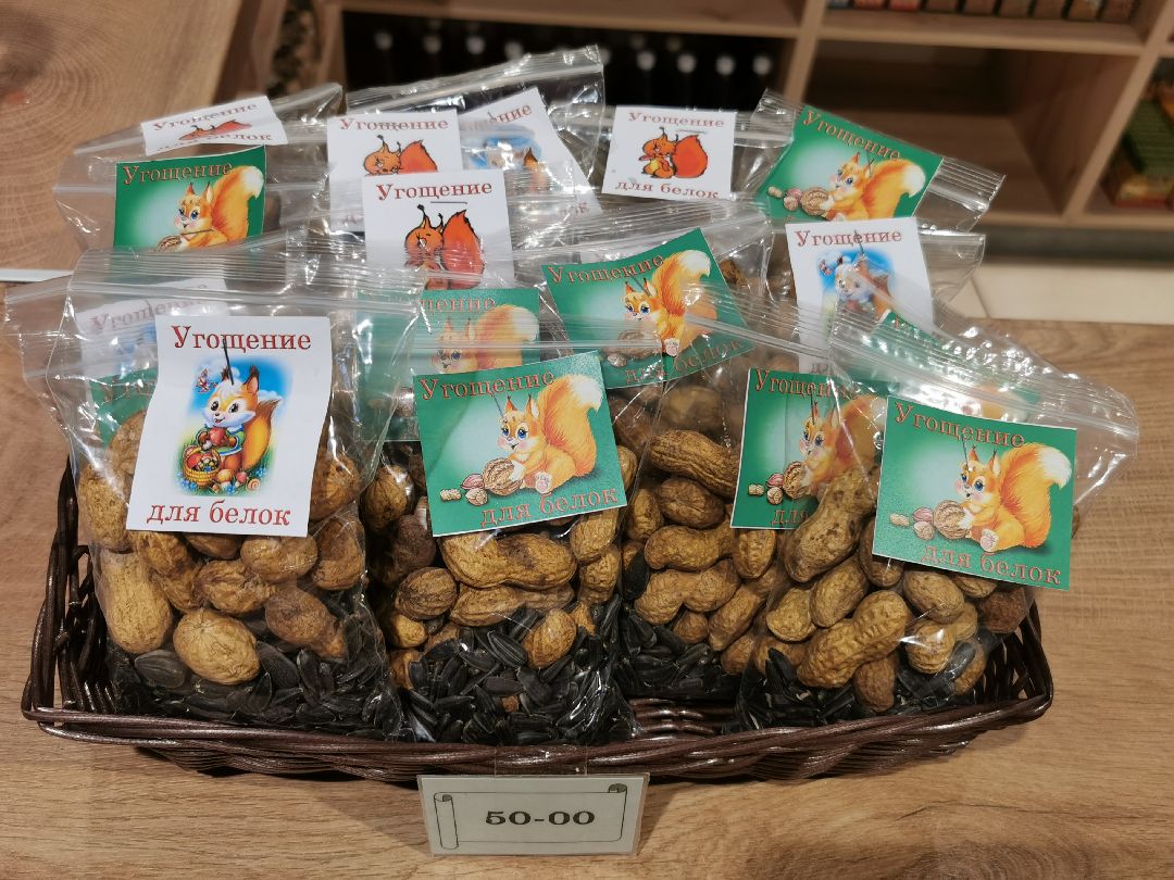 Подольск Общество