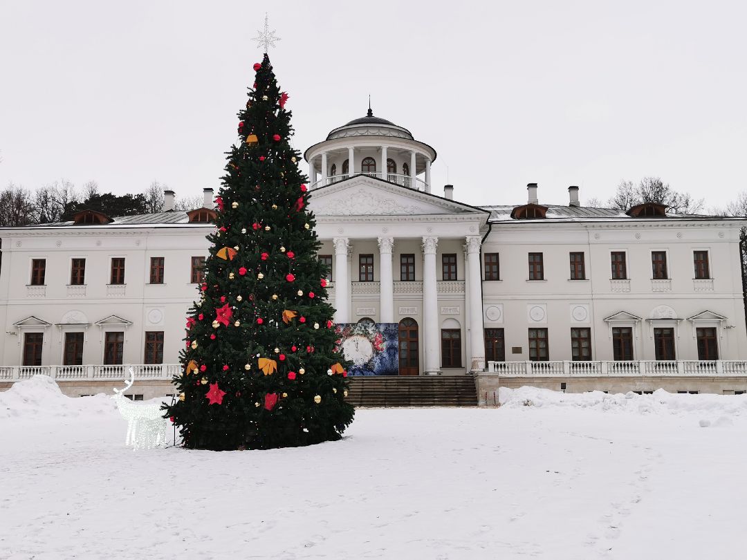 Подольск Общество