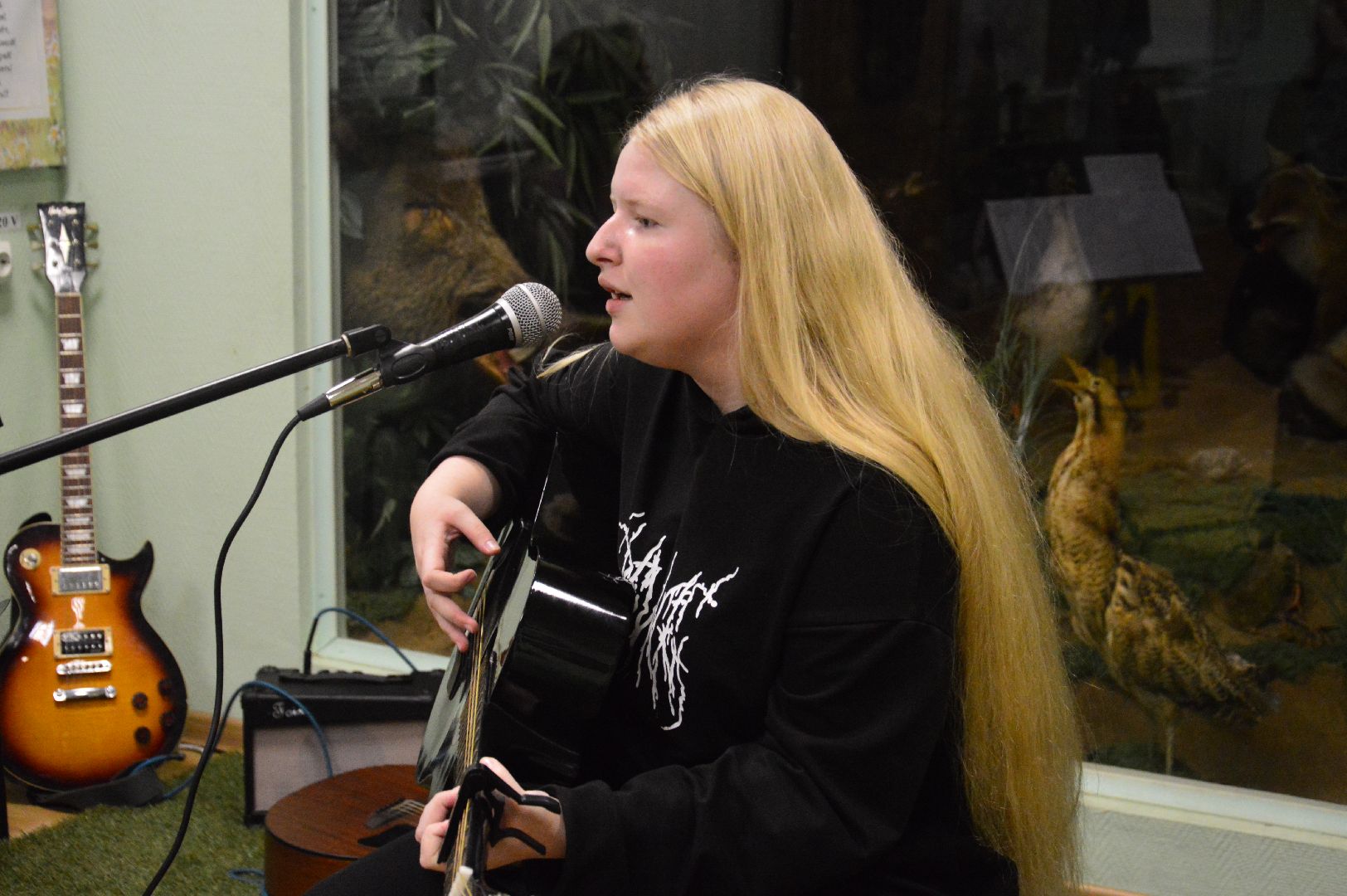 шатура, краеведческий музей, барды, выступление, ночь искусств, городской округ культура,