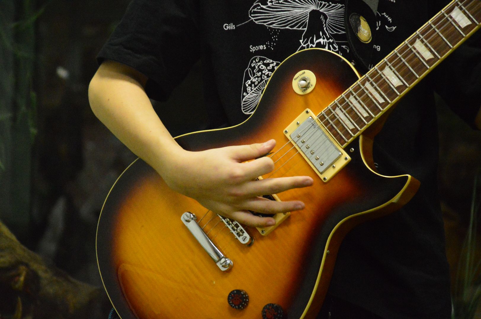 шатура, краеведческий музей, барды, выступление, ночь искусств, городской округ культура,