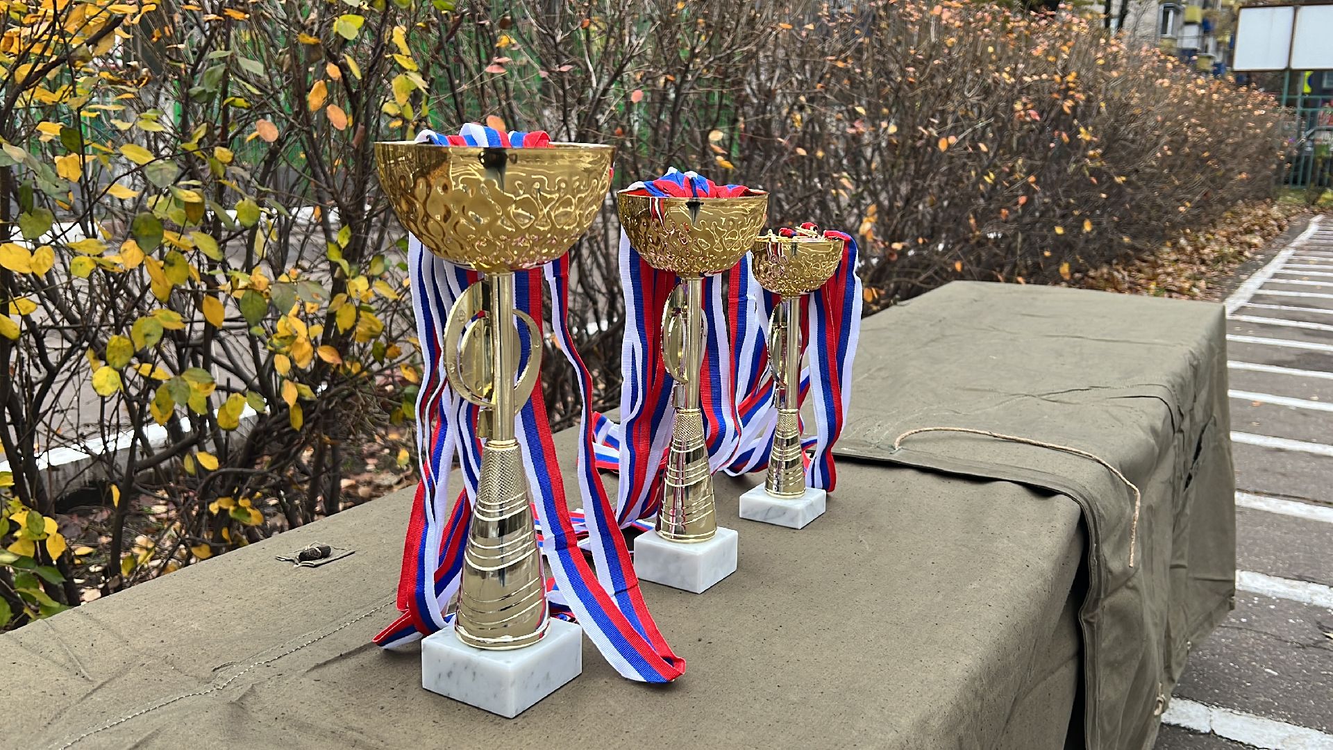 химки, образование, кадетский класс, кадеты,