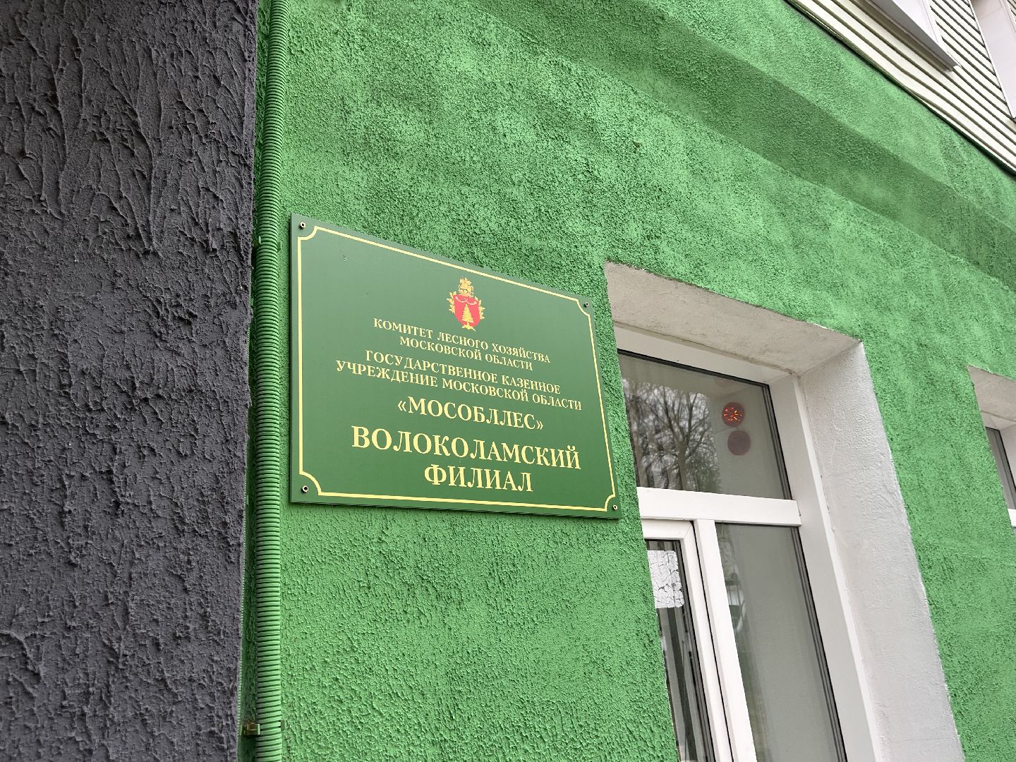 шаховская, лесничий, лесничество, деревья,