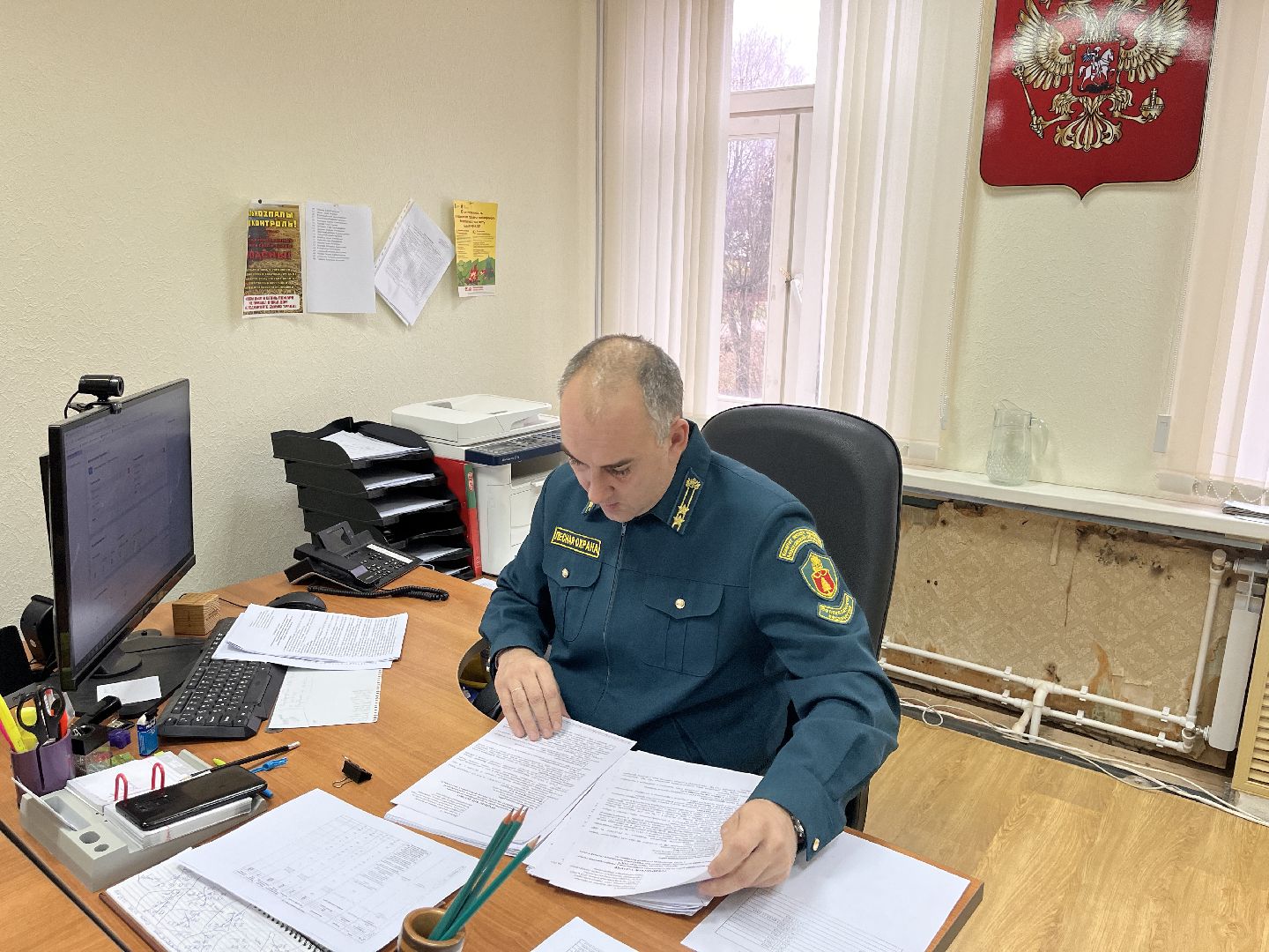 шаховская, лесничий, лесничество, деревья,