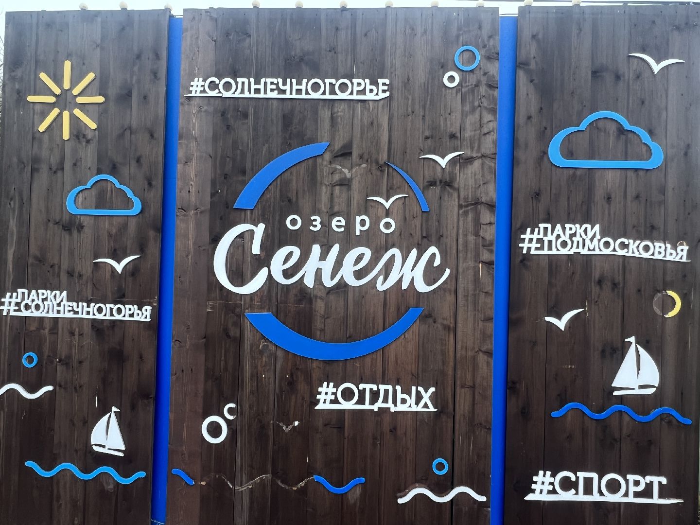 Солнечногорск, давайвступай, Артем Алискеров, донорство костного мозга, марафон,