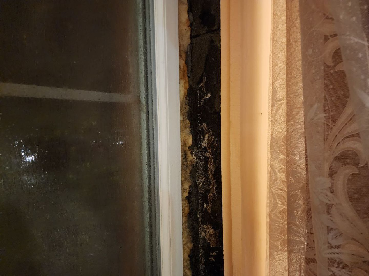 щёлково, управляющая компания,