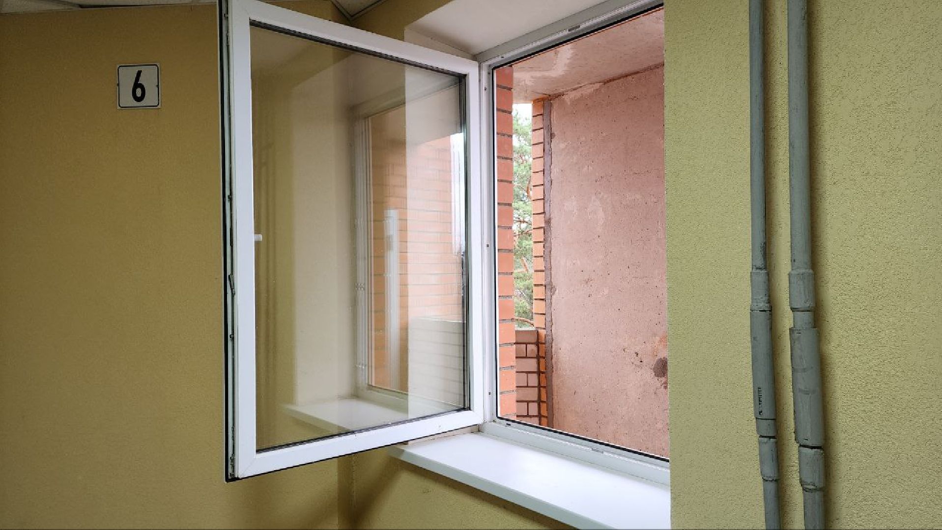 Дмитров, ЧП, Глава Дмитровского округа,